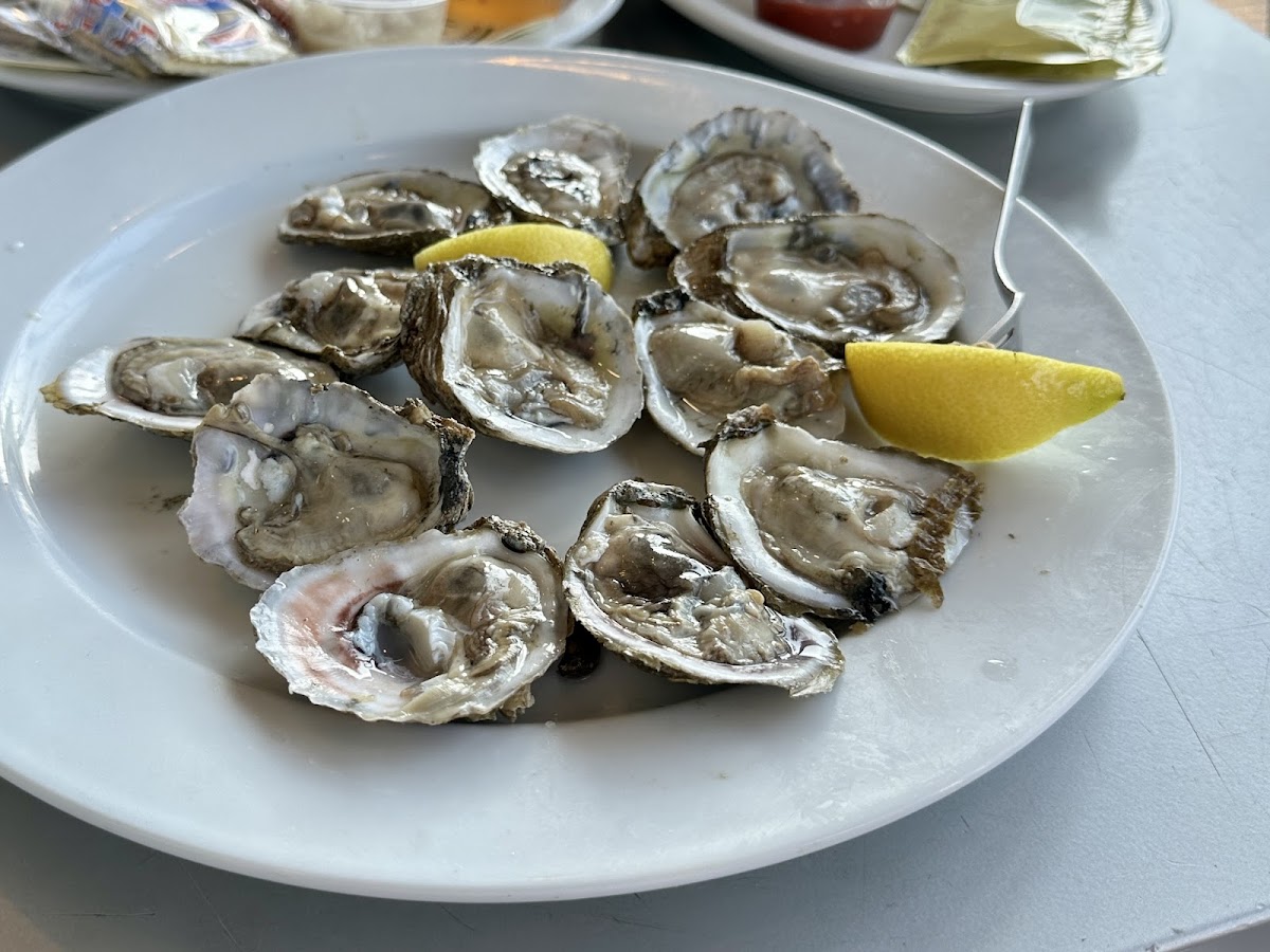 North Beach Fish Camp-8